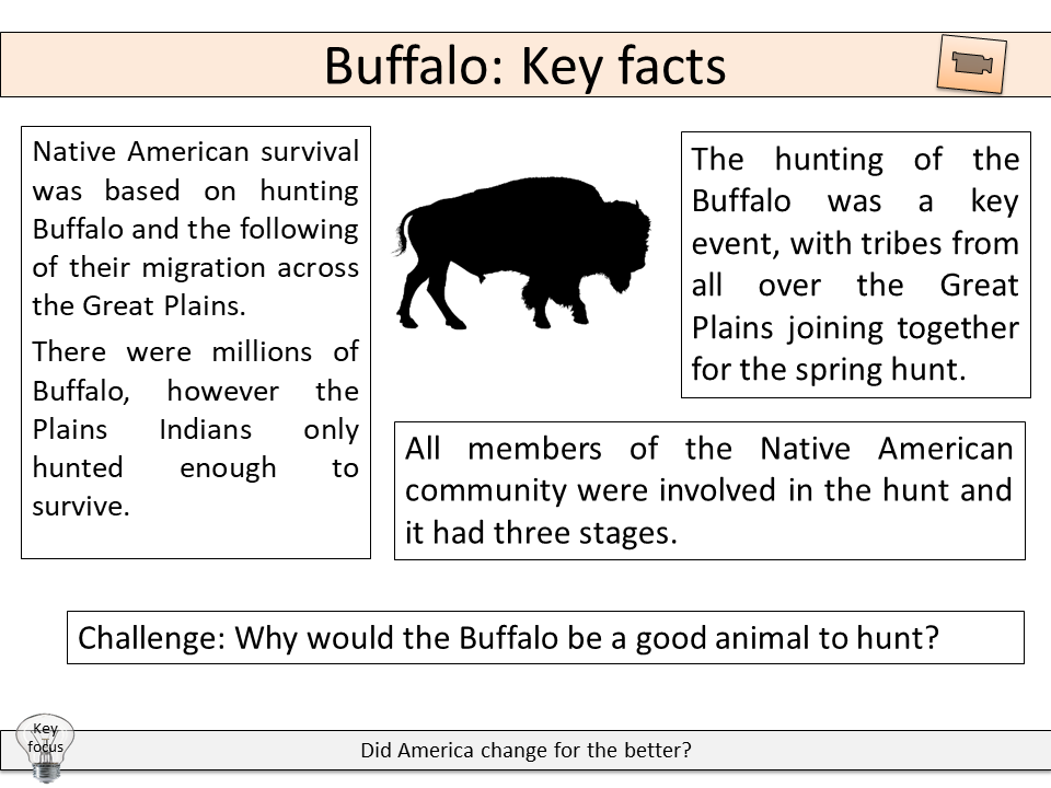 The Great Plains and the Buffalo Teaching Resources