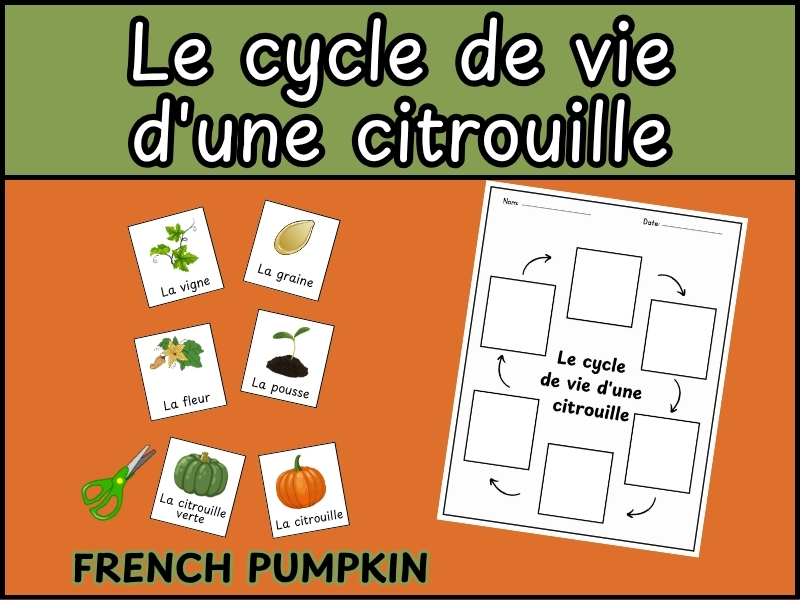 French Pumpkin Life Cycle - Le cycle de vie d'une citrouille - French Pumpkin