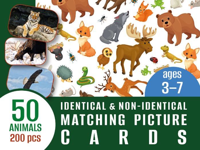 Animal Matching Picture Cards | Identical & Non-Identical | Cartoon+Photo+Word