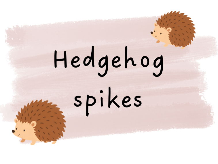 Hedgehog Spikes