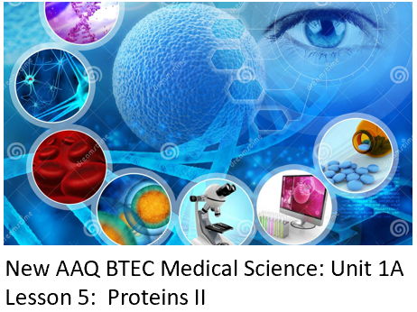 NEW: AAQ BTEC Medical Science Unit 1A - Lesson 5 Proteins II