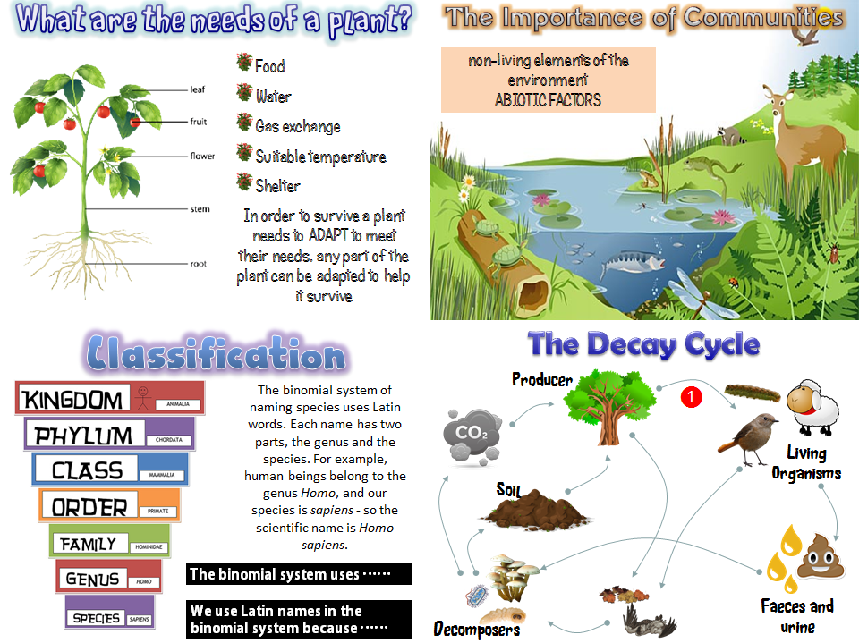 New AQA 2016 Biology resources