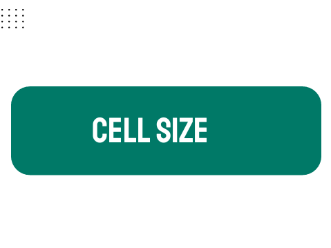 AP Biology Unit 2: Cell Size