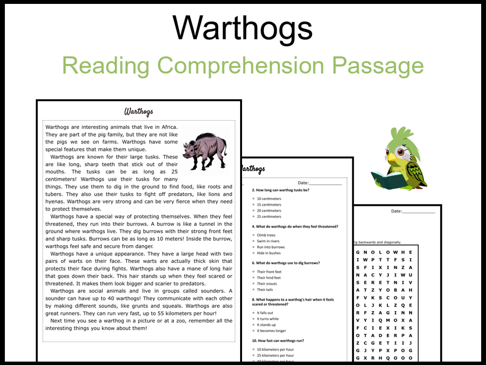 Warthogs Reading Comprehension and Word Search | Teaching Resources