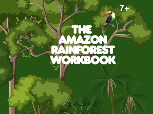 Worksheets from The Amazon Rainforest Workbook