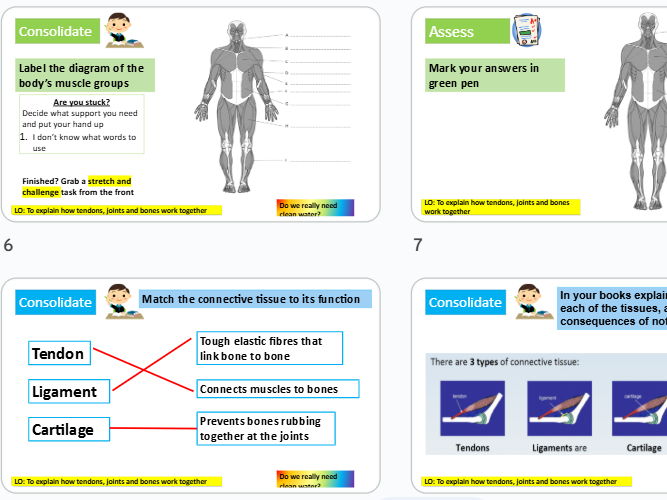 Muscular skeletal injuries