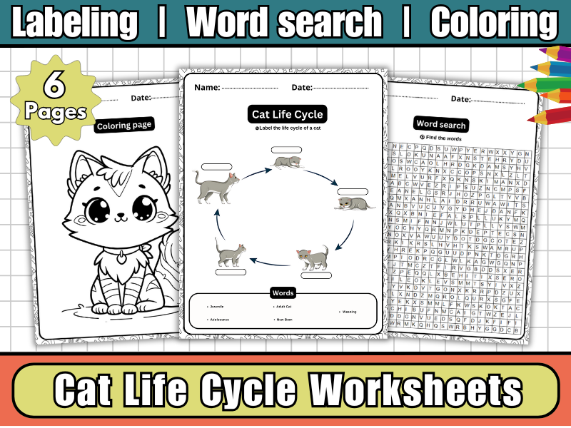 Cat Life Cycle – Labeling Diagram Worksheets, Coloring Page & Word Search | Animal Science Activity