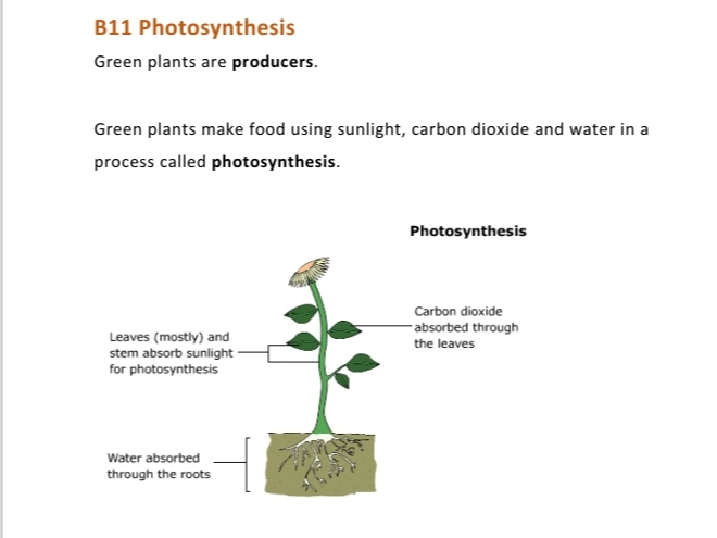 KS3 Biology 2027