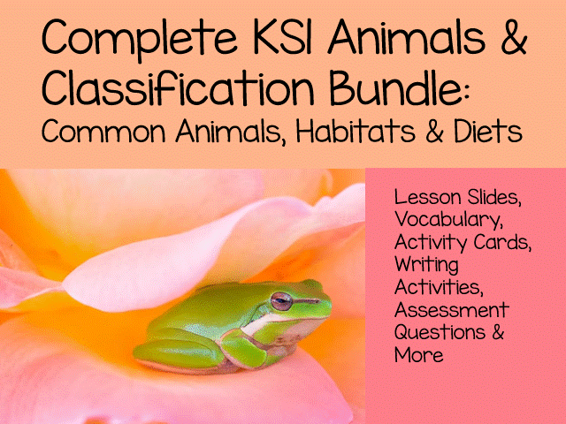 Complete KS1 Animals & Classification Bundle : Habitats, Diets, Common Animals