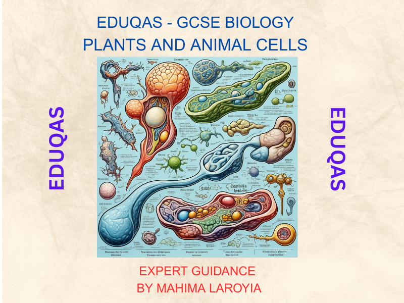 EDUQAS -  GCSE Biology: Plants and Animal Cells