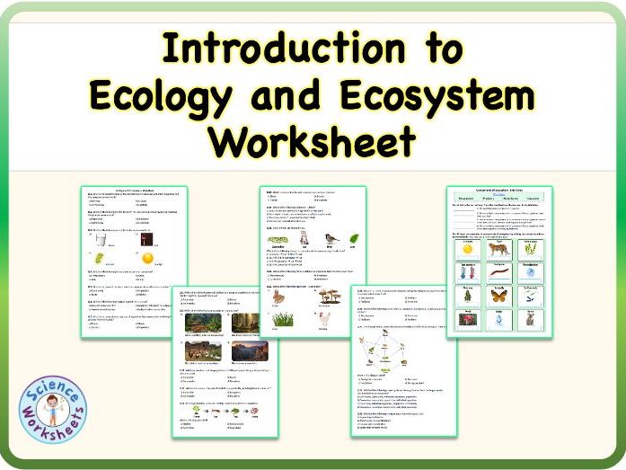 Introduction to Ecology and Ecosystem - Worksheet (KS3 Biology, Science)