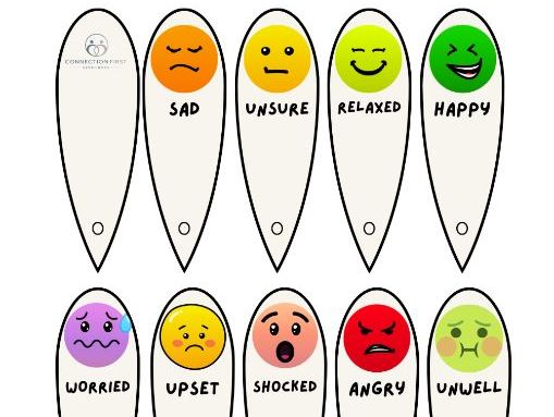 Feelings Fan and Wheel