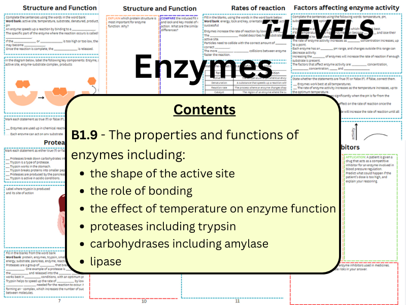 T Level Health Enzymes workbook