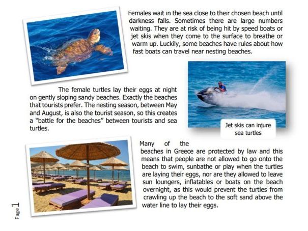 Sea turtles & tortoises-KS2-10 reading texts