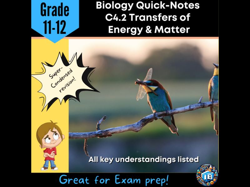 IB DP Biology C4.2 Transfers of Energy and Matter - Condensed Topic Notes 2026