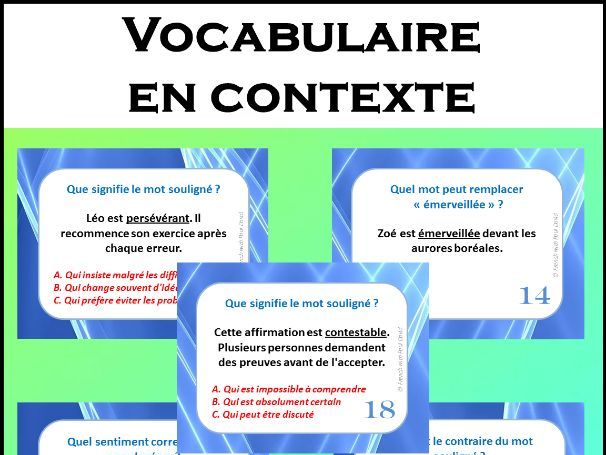 Vocabulaire en contexte – 32 cartes à tâches / French Vocabulary Task Cards