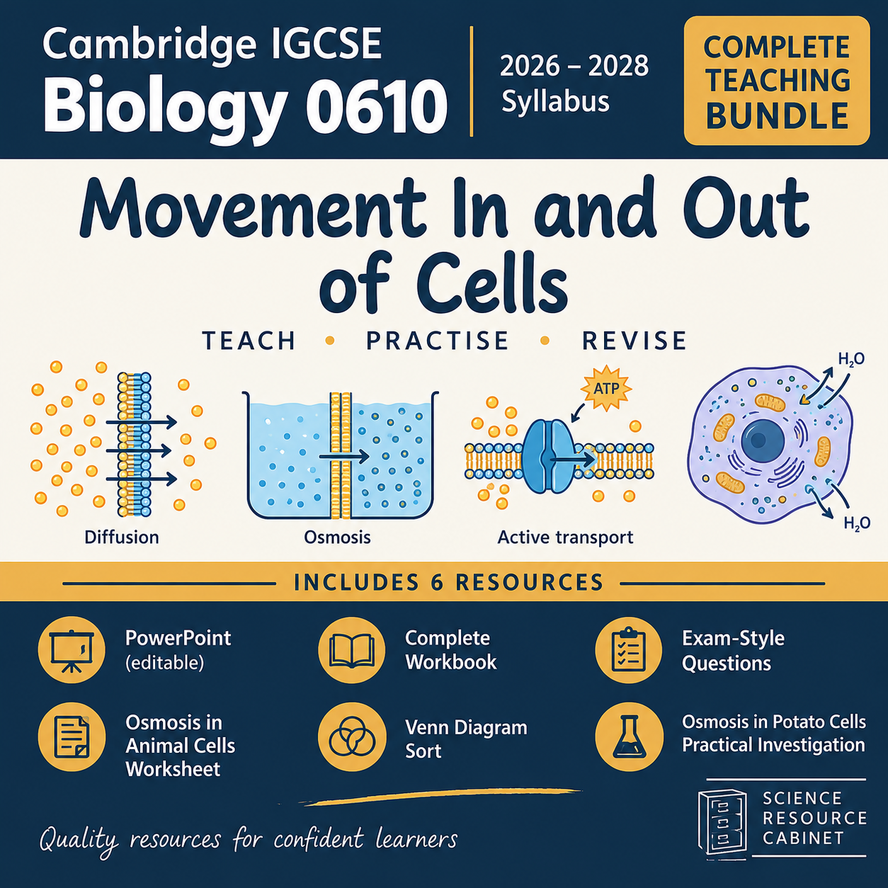 IGCSE Biology: Movement / Cell Transport Bundle