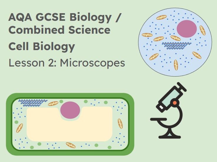 Lesson 2 Microscopes