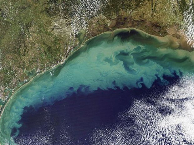 ESS 4.4 Water Pollution first exams 2026