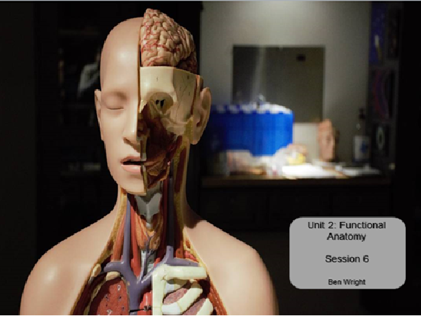 Functional Anatomy BTEC Nationals Sport and Exercise Science Unit 2 Lesson 6