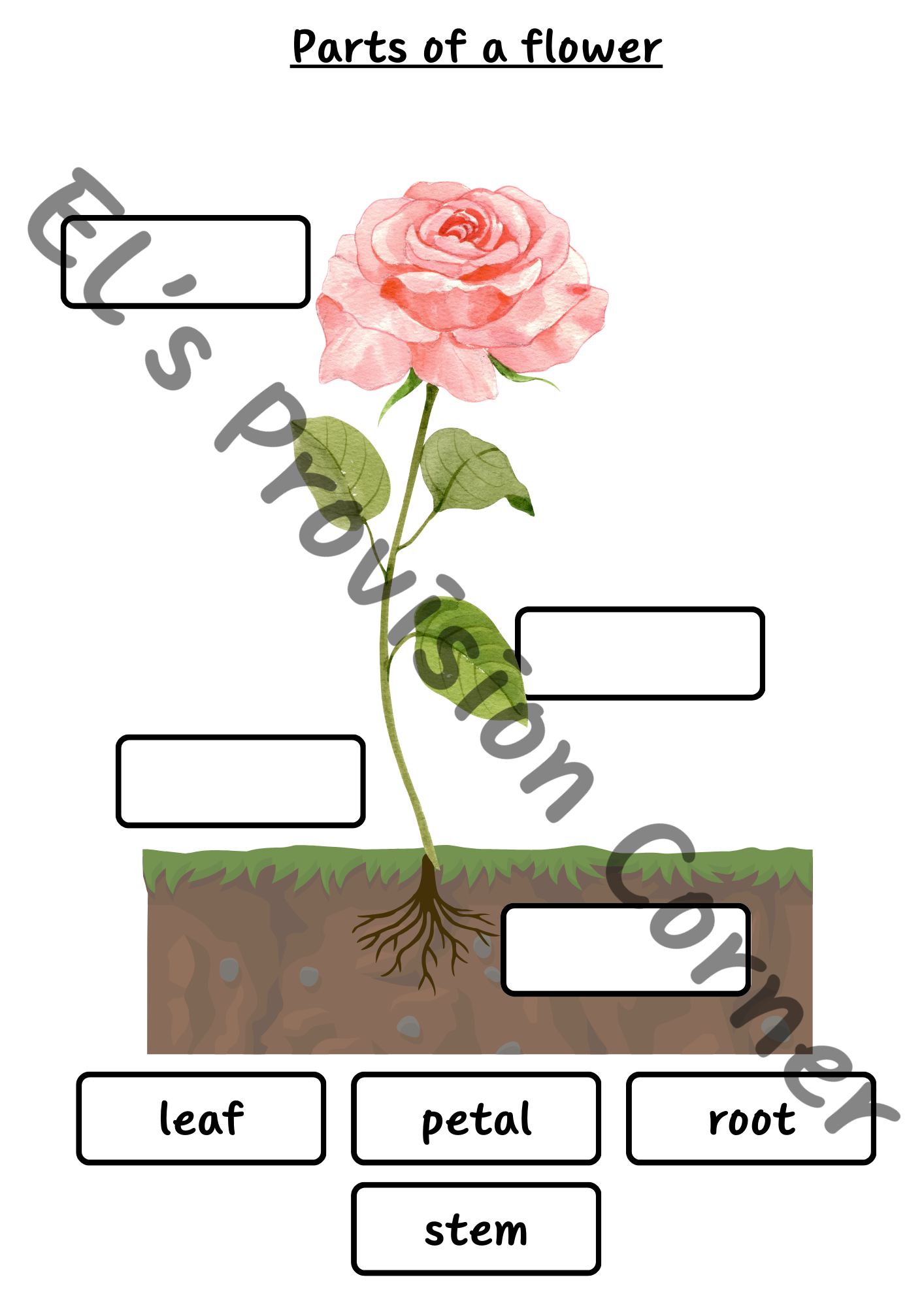Parts of a flower labelling- Science- Plants- Continuous provision ...
