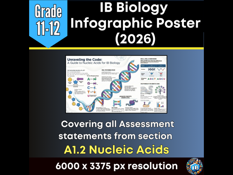 IB DP Biology Digital Infographic Poster: A1.2 Nucleic Acids – Blueprint of Life (2026)
