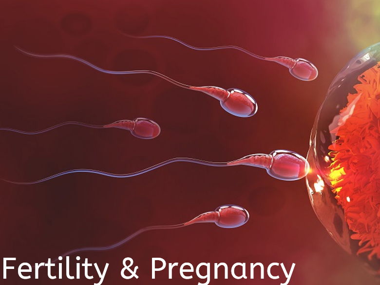 RSHE/Biology Fertility, Pregnancy & Preconception Health Lesson