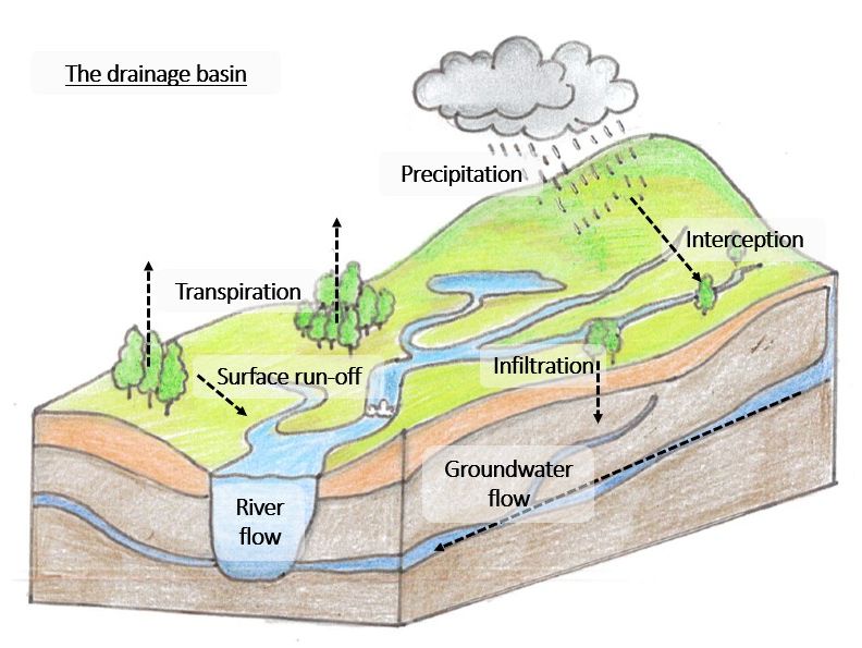 Water cycle & drainage basin diagrams