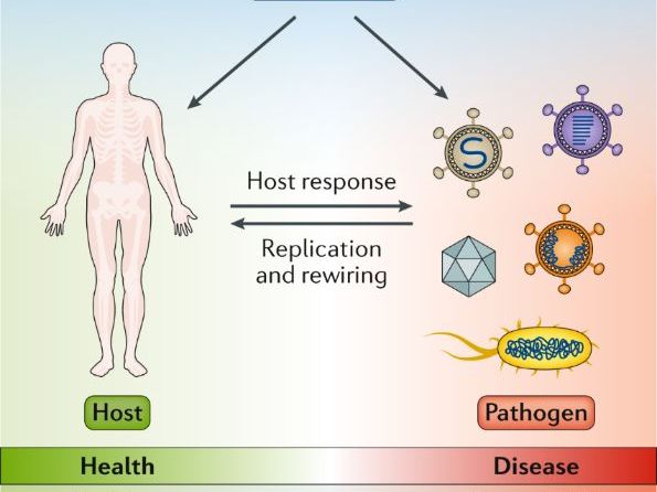 Cambridge A Level Geography  - 14.3 Monitoring and response to pathogenic diseases