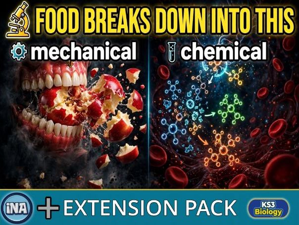 Mechanical and Chemical Digestion - KS3 Biology Extension Pack