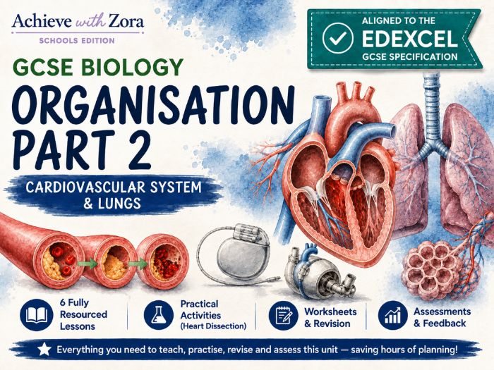 Cardiovascular and Respiratory Systems – Complete Unit 3 for Edexcel GCSE Biology