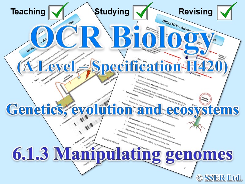 BIOA_OCR Topic Notes: 6.1.3 Manipulating genomes