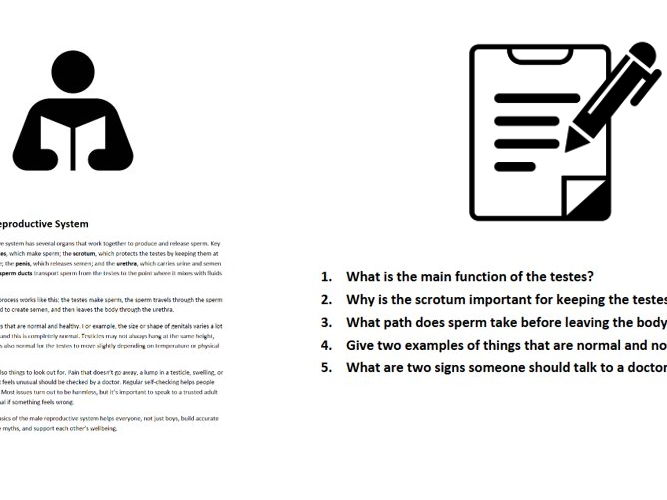 Healthy Young Men: Understanding the Male Reproductive System & Men’s Mental Health (RSHE)