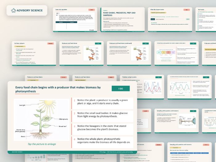 AQA GCSE Combined Science Biology B7 Ecology | 9 Lesson Presentations and Topic Test