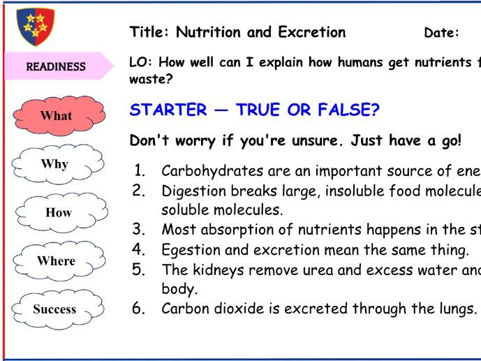 Animal Nutrition and Excretion in Humans