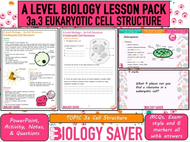 A Level Bio Lesson - 3a.3 Eukaryotic Cell Structure