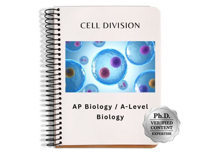 AP Biology/A-Level Biology: Cell Division Visual Slide Deck & Reference Material