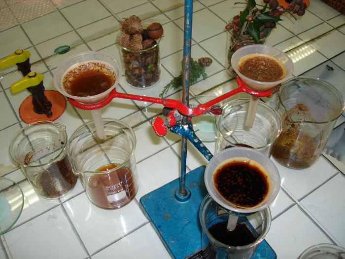 Monastic ink linking chemistry and history Teaching Resources