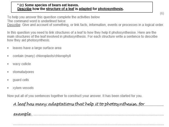 Edexcel B2 6 mark question practice book