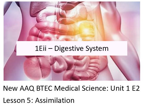 NEW: AAQ BTEC Medical Science Unit 1Eii Digestive System – Lesson 5