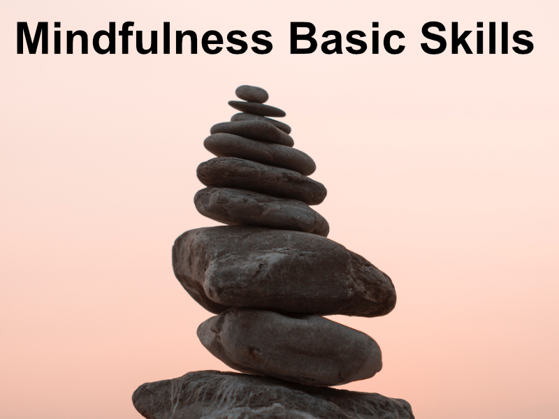 Mindfulness basic skills