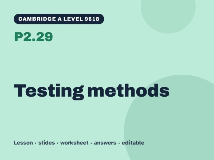 Cambridge A Level Computer Science 9618 – P2.29 Testing methods – Lesson & Worksheet