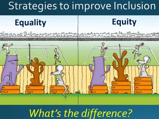 Strategies to Improve Inclusion (any subject)