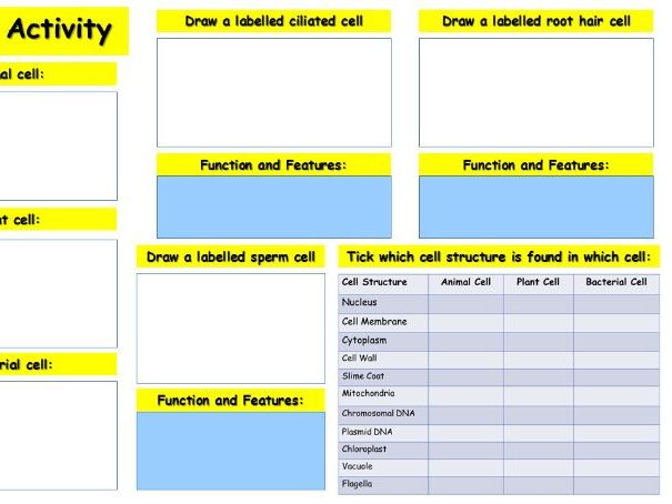 Cells revision activity for all exam boards