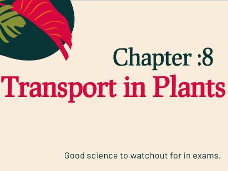 Transport in Plants [IGCSE Biology 0610]