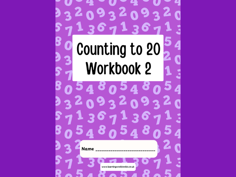 Counting to 20 Workbook 2