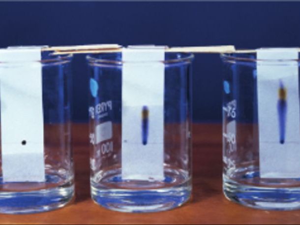 Chromatography Lab Report