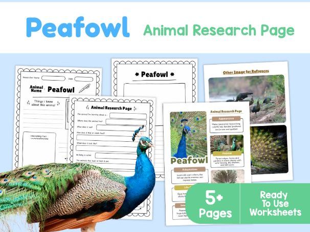 Peafowl Research Project | Bird Habitats and Adaptations
