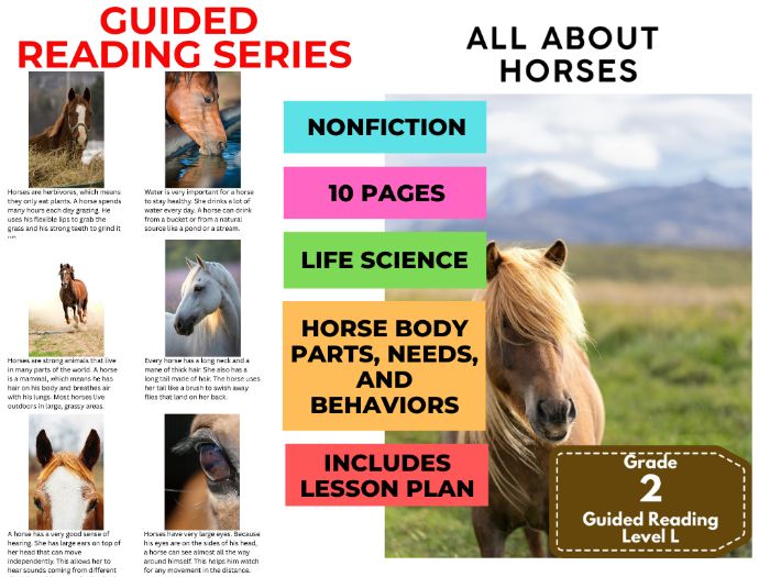 Guided Reading Level L - All About Cows (with Lesson Plan)