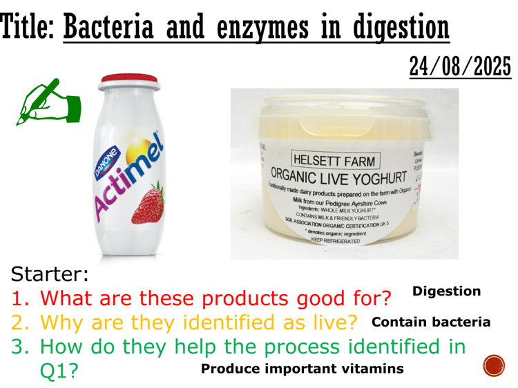 Bacteria and enzymes in digestion - complete lesson (KS3)